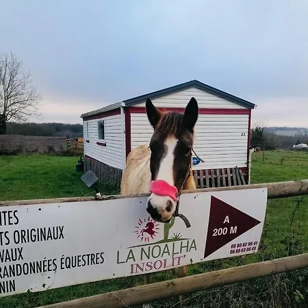 Coachella Séjour à la campagne