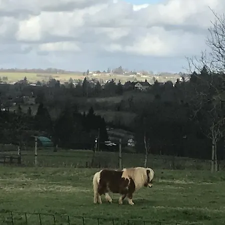Séjour à la campagne Coachella *