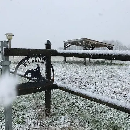 Séjour à la campagne Coachella *