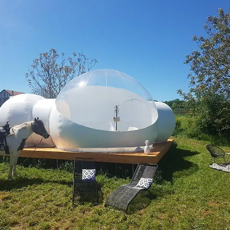 Séjour à la campagne Coachella
