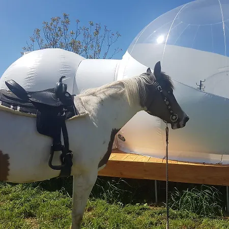 Séjour à la campagne Coachella *