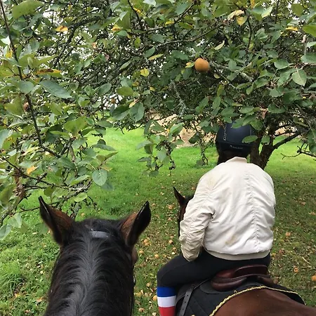 Séjour à la campagne Coachella Lanouaille