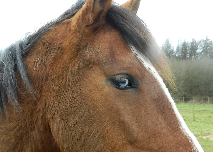 La Noalha Insolit' Casa di campagna *