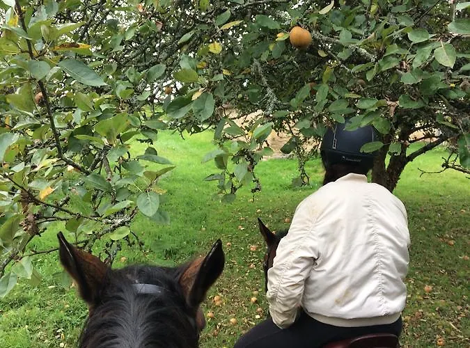 Casa di campagna La Noalha Insolit' Lanouaille